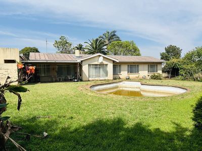 118 Buiten Street — rear garden and swimming pool