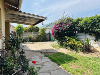 118 Buiten Street — side garden path