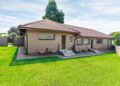 39 Diamant Street &mdash; rear garden